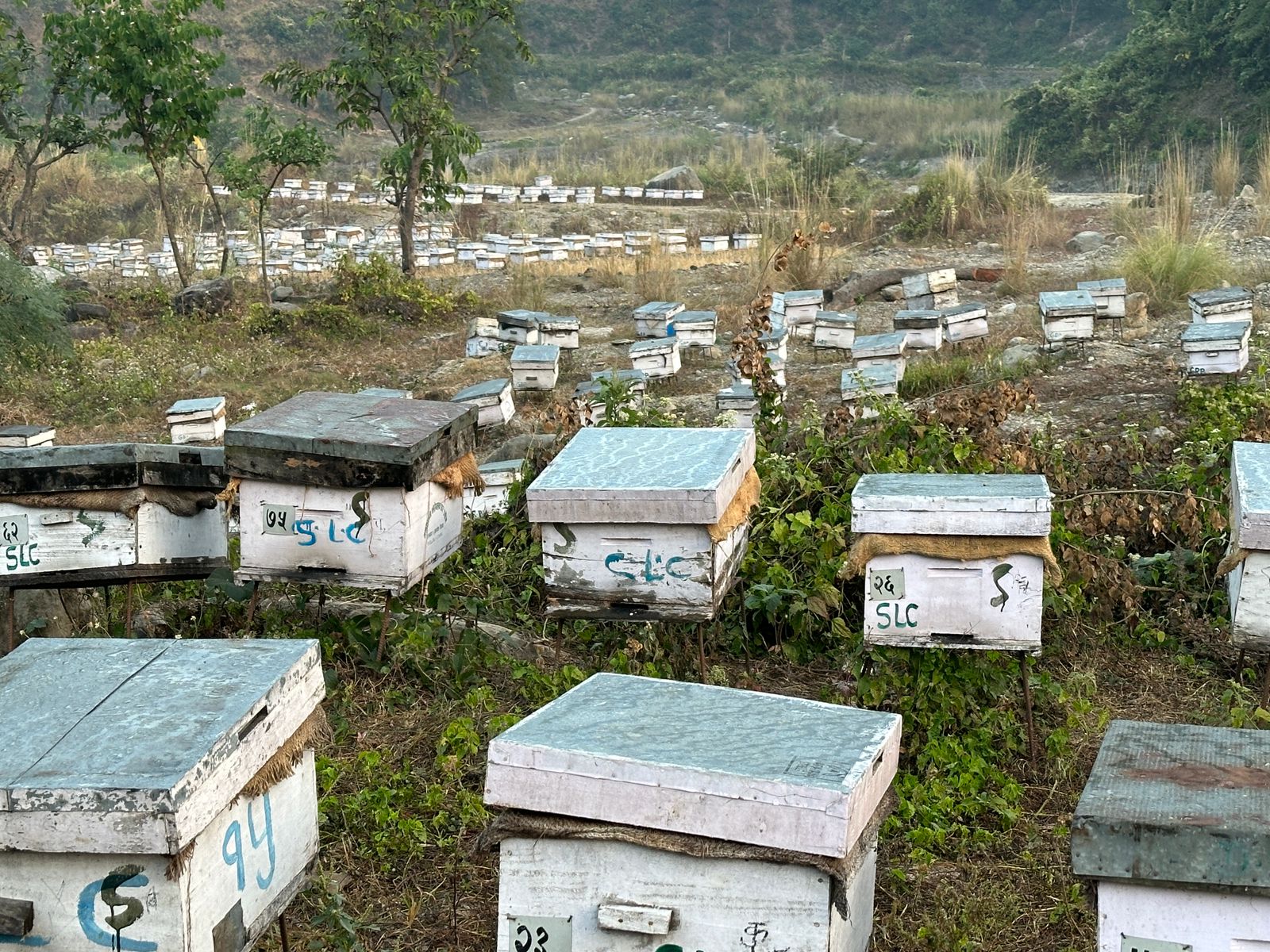 Sapana Hillstay Rooms